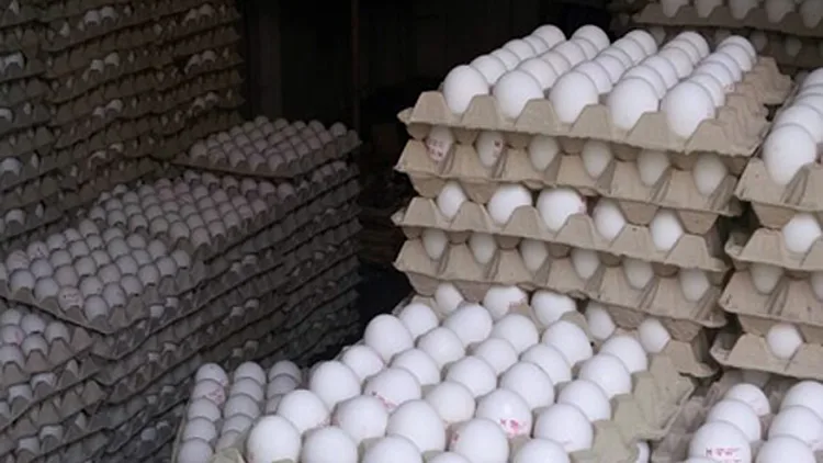 אילוסטרציה