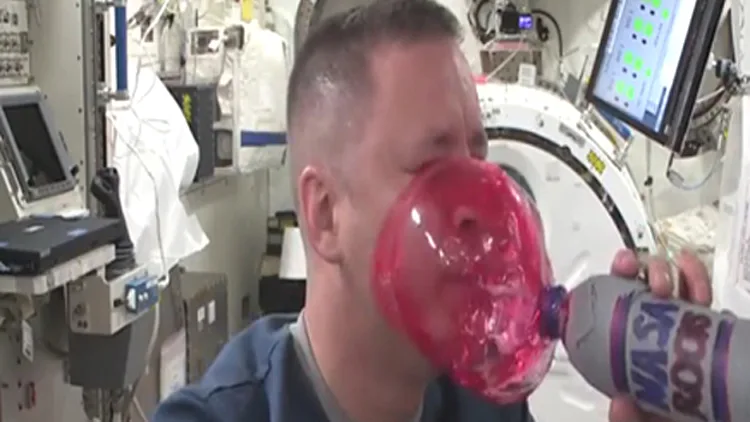 צפו: איך שותים מיץ בחלל? | חדשות 13