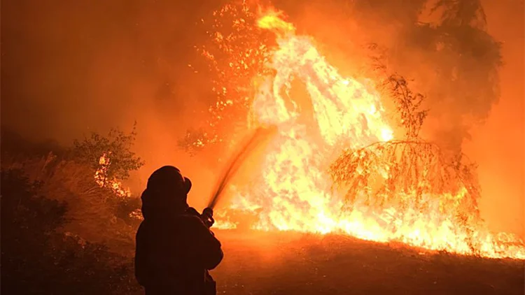 "נציב הכבאות מסכן חיי לוחמי האש" | חדשות 13