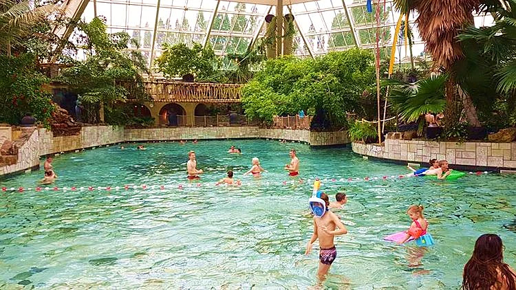 טיסות, לינה, רכב ופארק דולפינים בכרטיס אחד