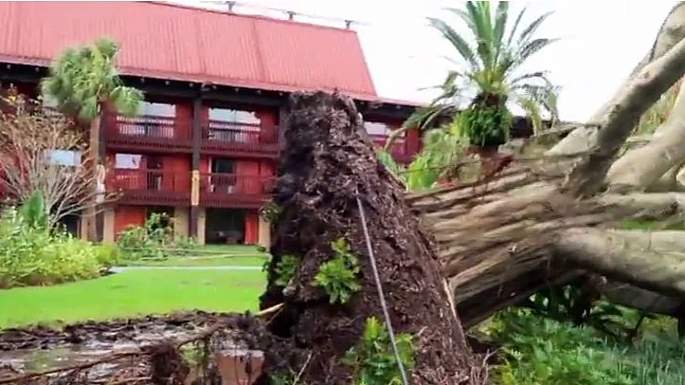 כך נראה דיסני פלורידה אחרי הסופה