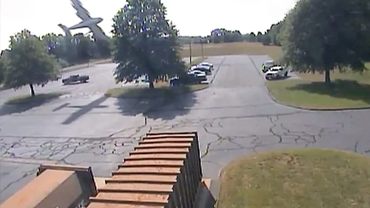 תיעוד: טייס התנגש בעץ וניצל בנס | חדשות 13