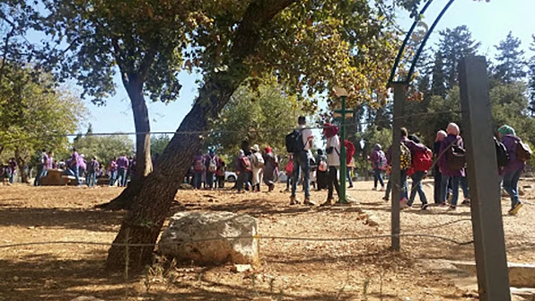 100 אלף מטיילים בשמורות הטבע ובגנים הלאומיים