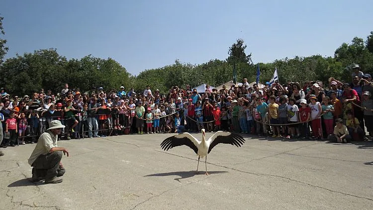 טיול ופעילות משפחתית בבית גוברין