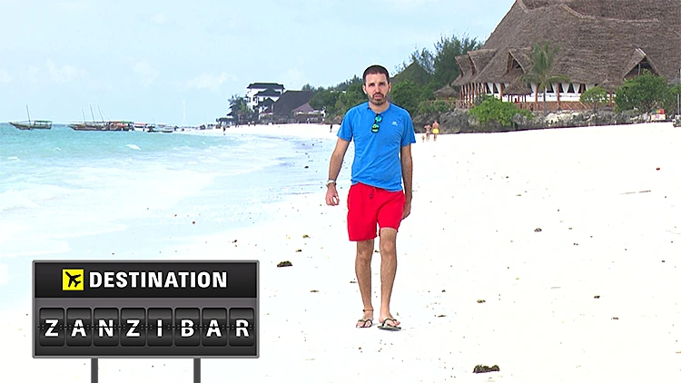 יום קסום בחופים של זנזיבר