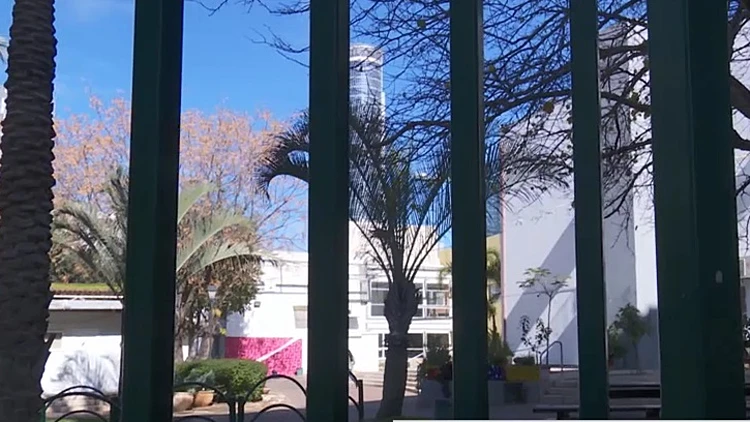 לתקיפות מיניות ב"תלמה ילין"