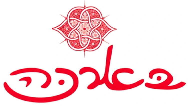 תקנון פעילות גוט אנרגיה | רשת 13