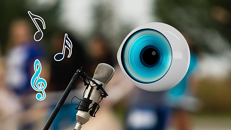 האח הגדול פעילות