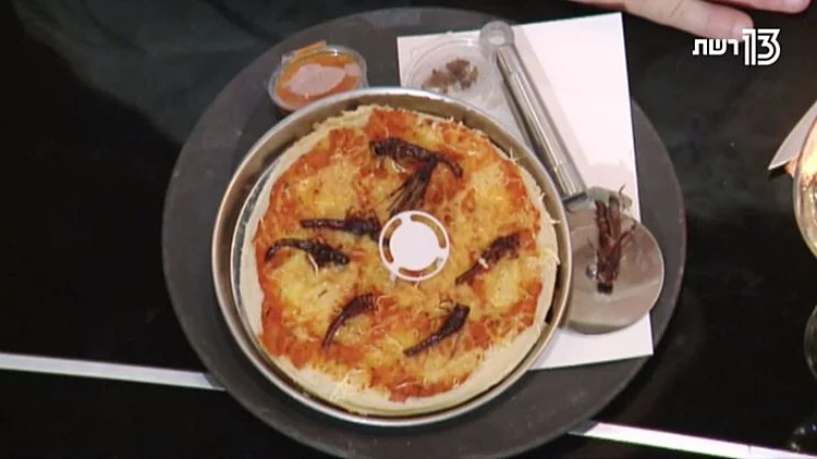 פיצת החגבים שהעיפה את השפים שלנו