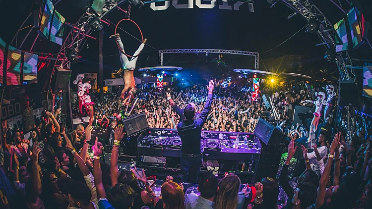 הכירו את שבעת המועדונים הכי חמים בגליפולי | רשת 13