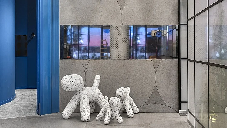 הכלבלבים של טולמנ'ס דוט בבית האח הגדול | רשת 13