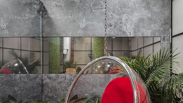 חיפוי דקטון בפאטיו האח הגדול | רשת 13