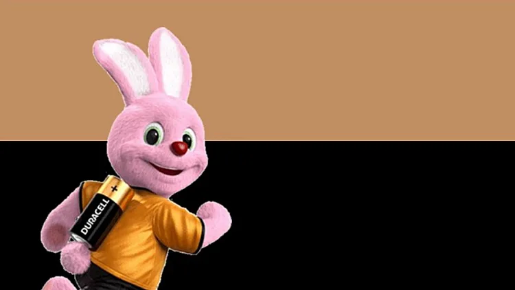 תקנון פעילות דורסל | רשת 13