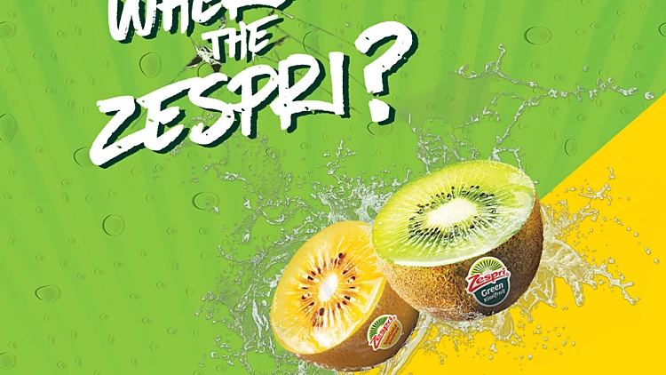 תקנון- קיווי | רשת 13