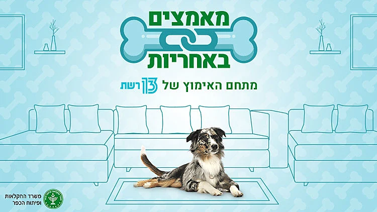 תקנון פעילות - אימוץ אחראי