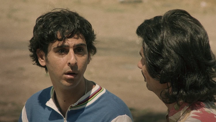 מחפשים אהבה לפרדי