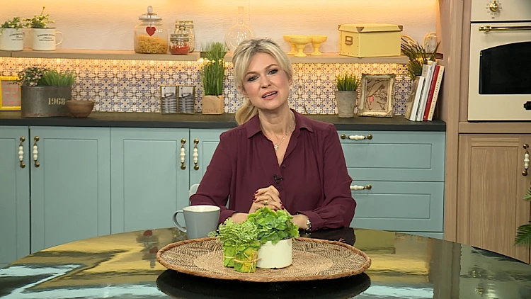 משפחה פלוס, עונה 1, פרק 2