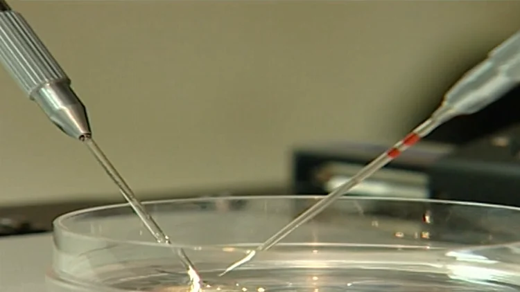 מחדל העוברים: נדחתה הבקשה למינוי אפוטרופוס לתינוקת