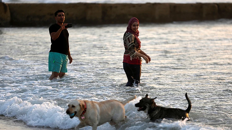 התחזית: ירידה בטמפ' עם סיכוי לגשם מקומי קל בצפון ובמישור החוף