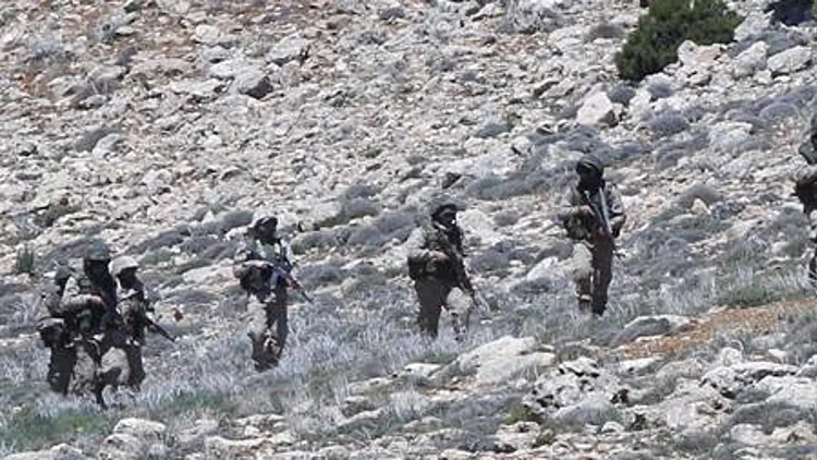 דיווחים בסוריה: ישראל חיסלה בכיר חזבאללה בקוניטרה