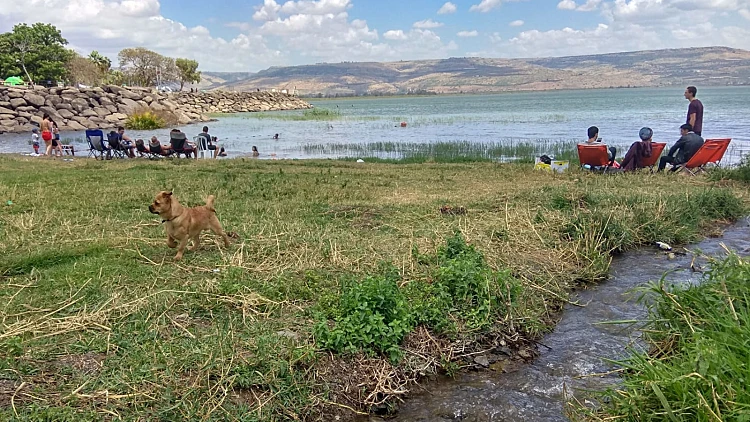 בשיא עונת התיירות: שני חופים פופולריים בצפון נסגרו בשל זיהום