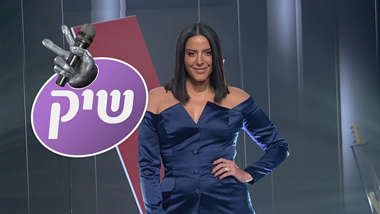 משטרת האופנה של נסרין קדרי