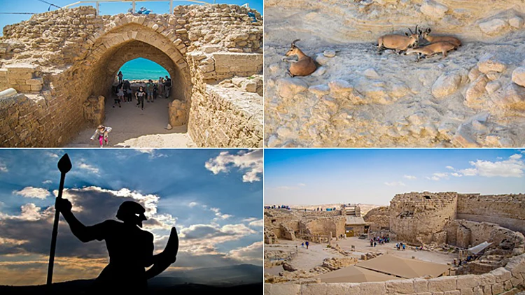 קיאקים, סיורי עששיות וסדנת שוקולד: כל האטרקציות לשבוע הקרוב