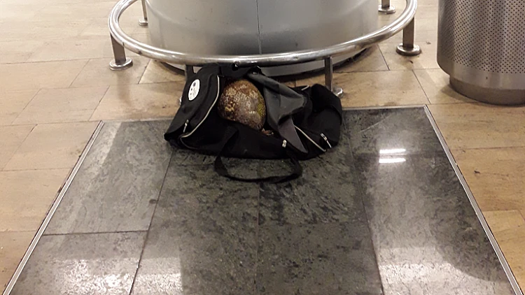 התיק שהשאיר אזרח הודי בנתב"ג, ובו הפרי "דוריאן"