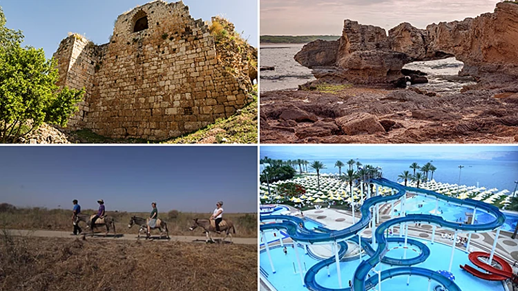 פסטיבל כוכבים, סדנת שוקולד וסיורים: כל האטרקציות לשבוע הקרוב