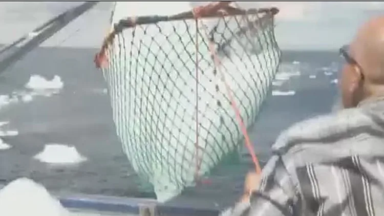 למרות הסכנה: האנשים שיורים בקרחונים - כדי להפיק מים יוקרתיים