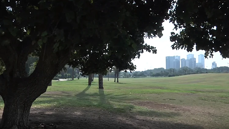 בני 3 ו-7 מצאו "סוכריה" בפארק - ואושפזו עם מנת יתר של קוקאין