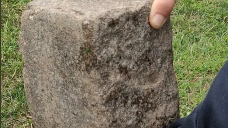 חשד לפשע שנאה בניו יורק: אדם השליך לבנים על רב חרדי