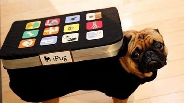 תחפושות הזויות לפורים