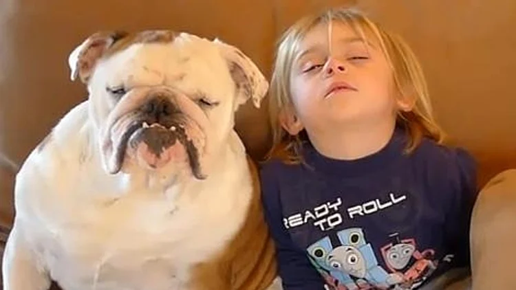 ילד נרדם וכלב