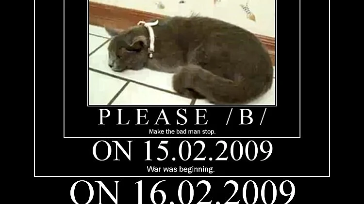 החתולה דאסטי עבורה פצחה אנונימוס במלחמה נגד מתעלליה