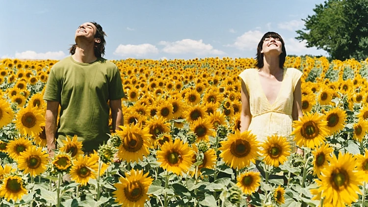 גבר ואישה בשדה חמניות