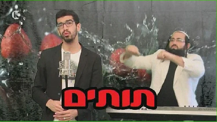 חנן בן ארי תותים