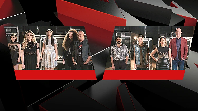 דה וויס עונה 5 פרק 25