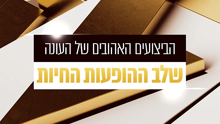 דה וויס עונה 5 הצבעה שלב ההופעות החיות