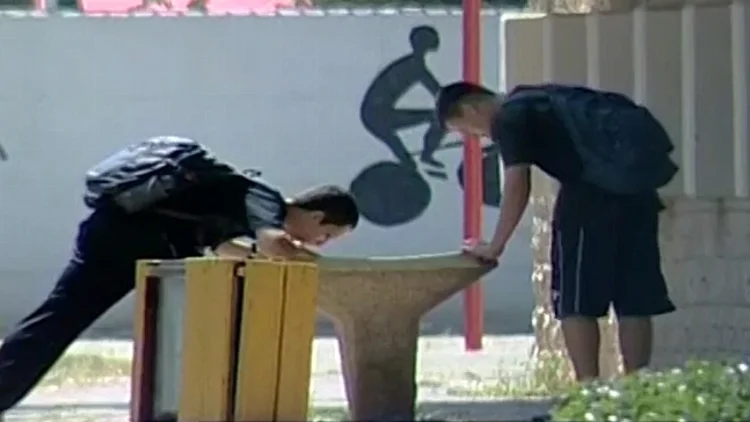 ברזיה בבית ספר