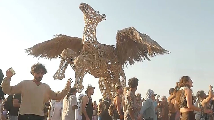 מיצג "הגמל המעופף" בפסטיבל המידברן