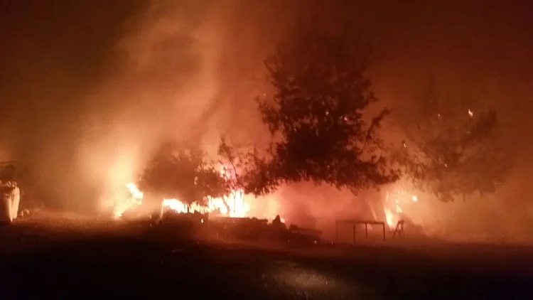 השריפה שהרסה את מסעדת "המטבח של רמה" בנטף