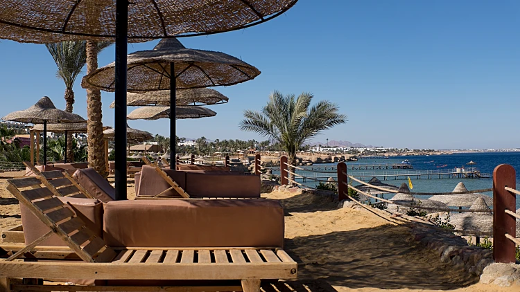 שארם א-שייח