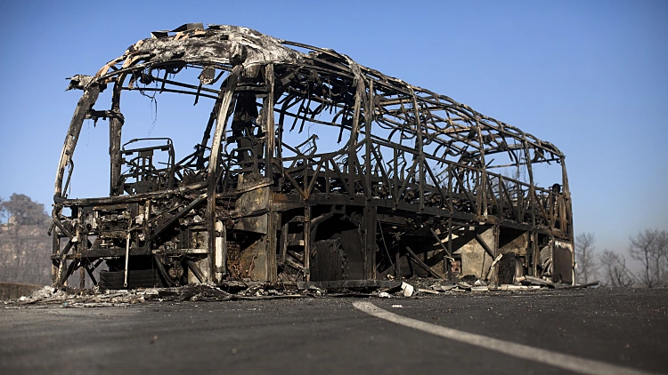 השריפה בכרמל