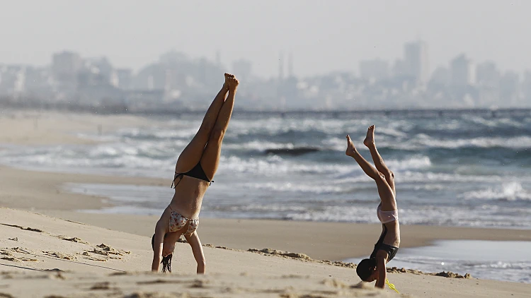 שתי מבלות בחוף הים בזיקים