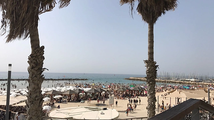 מתרחצים בחוף בתל אביב
