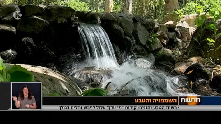 מעיין ברמת הגולן