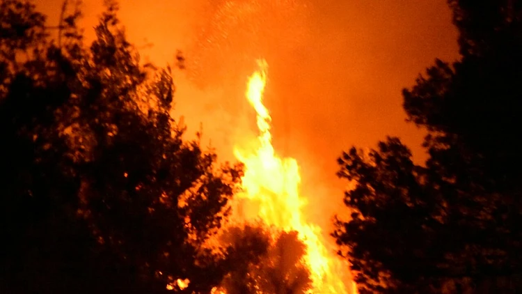 השריפה בנטף