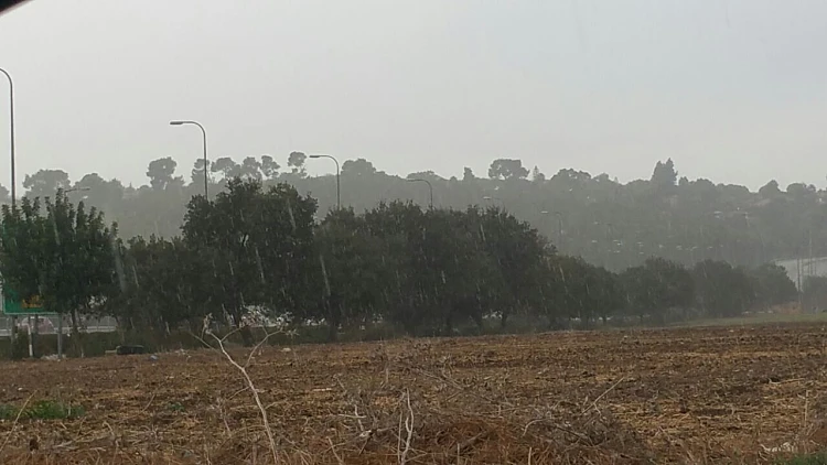 גשם מקומי בצפון הארץ