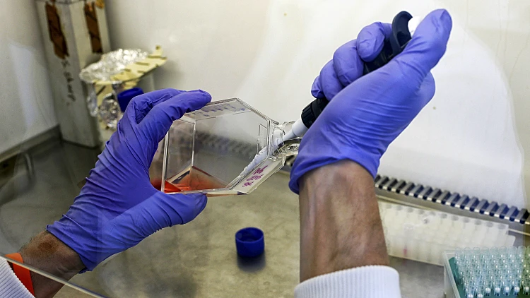 מדען בוחן תא סרטן במעבדה - אילוסטרציה